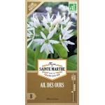 Samenbeutel von biologischem Bärlauch AB mit weißen sternförmigen Blüten auf grünem Laub