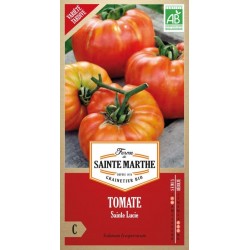 Samenbeutel Tomate Sainte Lucie AB von La Ferme Sainte Marthe, alte späte Sorte