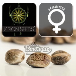 Feminisierte NY Diesel Cannabissamen von Vision Seeds, 50/50 Hybrid mit Grapefruit- und Dieselaromen