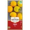 Bio-Samenbeutel Tomate Topaz von La Ferme Sainte Marthe mit gelb gestreiften Tomaten