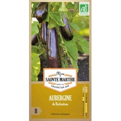 Aubergine de Barbentane AB von La Ferme Sainte Marthe, traditionelle französische Sorte mit glänzenden violetten 20-cm-Früchten