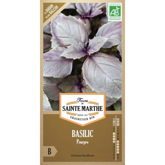 Bio-Samenbeutel Basilic Pourpre von La Ferme Sainte Marthe mit dekorativem violettem Laub für aromatische Kultur