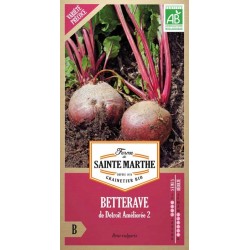 Bio-Samenbeutel Rote Bete Detroit Améliorée 2 von La Ferme Sainte Marthe, Sorte ohne erdigen Geschmack