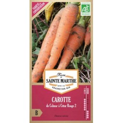 Bio-Samenbeutel Karotte de Colmar à Cœur Rouge 2 von La Ferme Sainte Marthe für biologischen Gemüsegarten