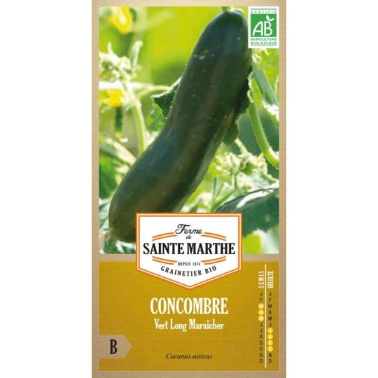 Gurke Vert Long Maraîcher AB von La Ferme Sainte Marthe, ertragreiche nachbaubare Bio-Sorte