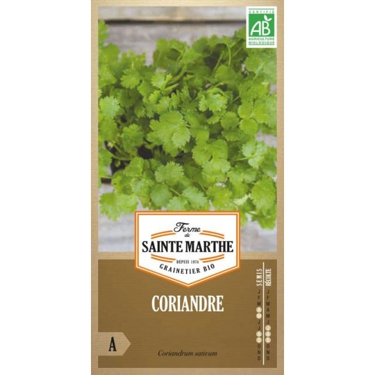 Bio-Samenbeutel Koriander von La Ferme Sainte Marthe mit üppigem grünem Laub