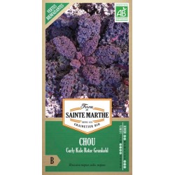 Bio-Samenbeutel mit Chou Curly Kale Roter Grunkohl AB von La Ferme Sainte Marthe für den Gemüsegarten