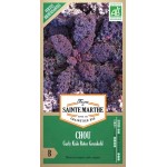 Bio-Samenbeutel mit Chou Curly Kale Roter Grunkohl AB von La Ferme Sainte Marthe für den Gemüsegarten