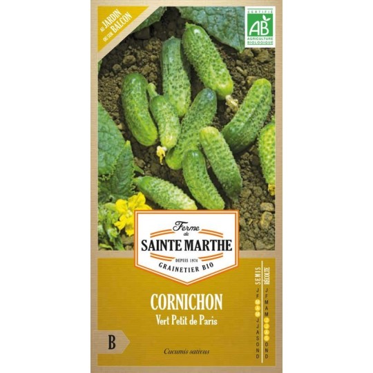 Bio-Samenbeutel Cornichon Vert Petit de Paris AB mit traditionellen französischen stacheligen grünen Cornichons