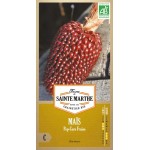 Ähre von altem rotem Bordeaux-Erdbeer-Popcorn-Mais AB mit biologisch reproduzierbaren Samen