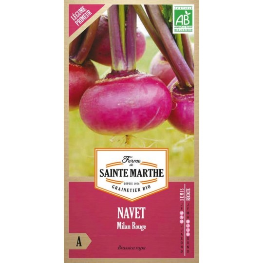 Samenbeutel Rübe Milan Rouge AB von La Ferme Sainte Marthe, frühe bio-zertifizierte Sorte