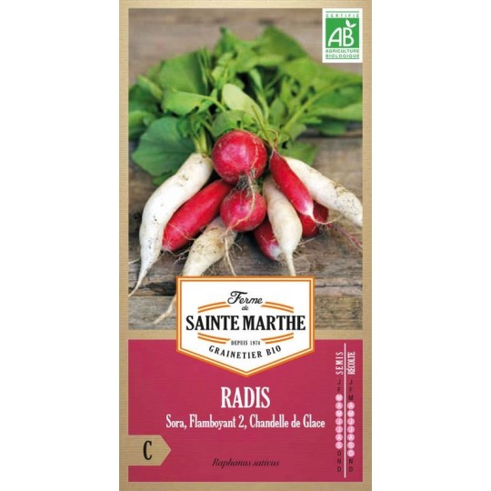 Bio-Radieschen-Mischung von Sainte Marthe mit Sorten Sora rot, Flamboyant rosa und Chandelle de Glace weiß