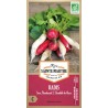 Bio-Radieschen-Mischung von Sainte Marthe mit Sorten Sora rot, Flamboyant rosa und Chandelle de Glace weiß