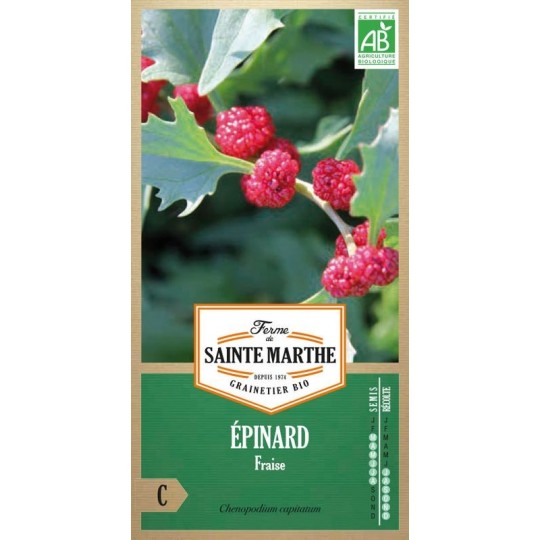 Bio-Samenbeutel mit épinard fraise bio von La Ferme Sainte Marthe mit roten Früchten von Chenopodium capitatum