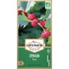 Bio-Samenbeutel mit épinard fraise bio von La Ferme Sainte Marthe mit roten Früchten von Chenopodium capitatum