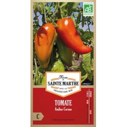 Biologische Tomatensamen Andine Cornue AB von La Ferme Sainte Marthe, uralte Sorte aus den Anden