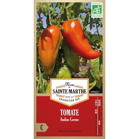 Biologische Tomatensamen Andine Cornue AB von La Ferme Sainte Marthe, uralte Sorte aus den Anden
