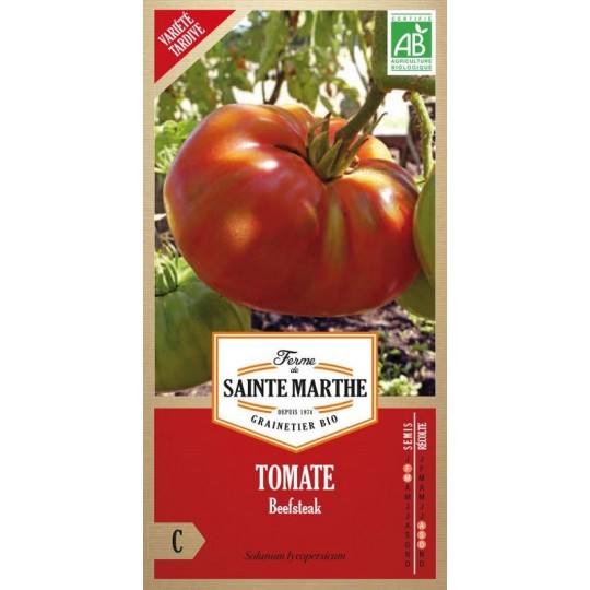 Biologische Beefsteak-Tomate von La Ferme Sainte Marthe, Sorte mit rindfleischartigem Fruchtfleisch und voluminösen Früchten
