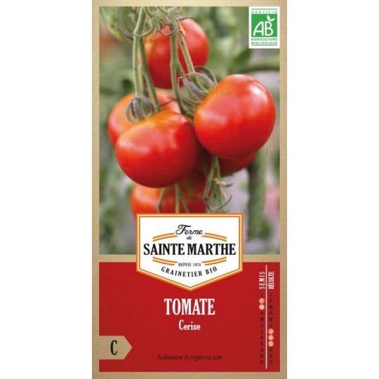 Samenbeutel mit biologischen Kirschtomatensamen von der Ferme Sainte Marthe mit reifen roten Früchten an der Pflanze