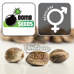 Hash Bomb Régulière