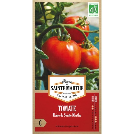 Bio-Samenbeutel mit Tomatensamen Reine de Sainte Marthe mit reifen roten Tomaten an grüner Pflanze