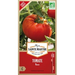 Biologische russische Tomatensamen AB von La Ferme Sainte Marthe, späte Riesensorte