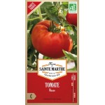Biologische russische Tomatensamen AB von La Ferme Sainte Marthe, späte Riesensorte
