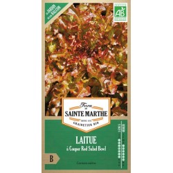 Samenbeutel von Ferme Sainte Marthe mit Laitue à couper Red Salad Bowl AB mit roten geschnittenen Blättern