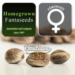 Homegrown Lowryder féminisée