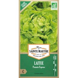 Samenbeutel mit Laitue Pommée Express AB von La Ferme Sainte Marthe, nachbaufähige Bio-Sorte