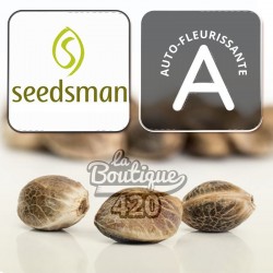 Seedsman Lemon Automatic mit intensiven Zitronenaromen, einfache autoflowering Hybrid-Sorte