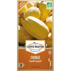 Reife gelbe biologische Spaghetti-Kürbisse von La Ferme Sainte Marthe, traditionelle nachbaufähige AB-Sorte