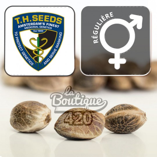 TH Seeds MK-Ultra Cake reguläre Cannabissamen limitierte Collector-Edition mit Qualitätslogo