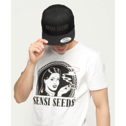 Mann trägt schwarze Limited Edition Snapback-Kappe und weißes Sensi Seeds T-Shirt, authentischer urbaner Streetwear-Stil
