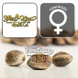 Feminisierte Chemical Bride Samen von Green House Seeds, premium Indica-Hybrid Wedding Cake x Chemdog mit 23% THC