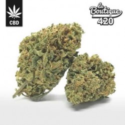 CBD Limoncello Blüten mit intensiven Zitronenaromen, Premium-Sativa reich an Trichomen