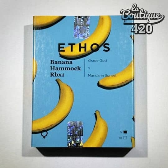 Offizielle Verpackung der feminisierten Banana Hammock RBX Samen von Ethos Genetics mit tropischen Bananen