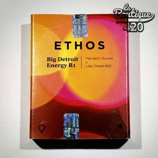 Offizielle Verpackung der feminisierten Big D Energy R1 Samen von Ethos Genetics mit farbigem orange- und mandarinrosa Design