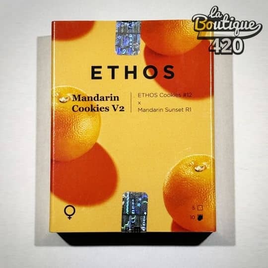 Offizielle Verpackung der feminisierten Mandarin Cookies V2-Samen von Ethos Genetics mit orangefarbenem Mandarinen-Design