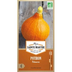 Bio-Potimarron AB von La Ferme Sainte Marthe, oranger Kürbis mit zartem kastaniengeschmackigem Fruchtfleisch