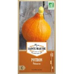 Bio-Potimarron AB von La Ferme Sainte Marthe, oranger Kürbis mit zartem kastaniengeschmackigem Fruchtfleisch