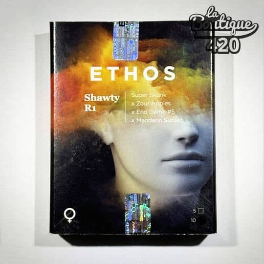 Offizielle Verpackung der feminisierten Shawty R1-Samen von Ethos Genetics, Premium-Indica-Hybrid mit kulinarischen Aromen