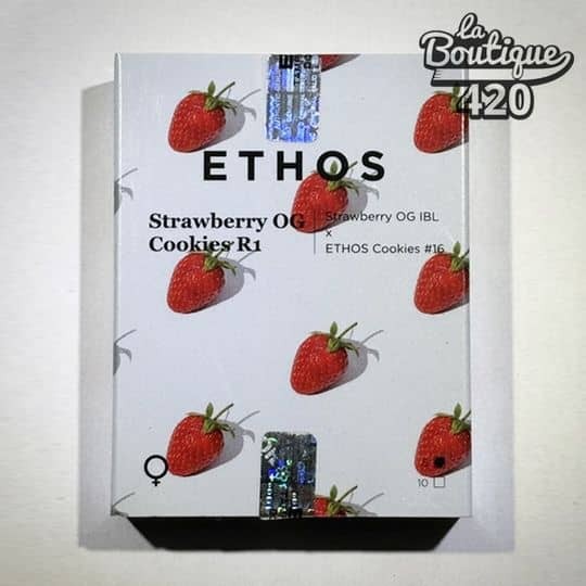 Offizielle Verpackung der feminisierten Strawberry OG Cookies R1-Samen von Ethos Genetics mit Erdbeer-Motiven