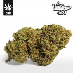 CBD Runtz Blüten hydroponisch kultiviert mit kristallinen Trichomen und süßen fruchtigen Aromen