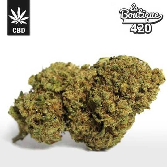CBD Runtz Blüten hydroponisch kultiviert mit kristallinen Trichomen und süßen fruchtigen Aromen