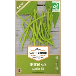 Haricot Nain Aiguillon Filet Mangetout AB von La Ferme Sainte Marthe, produktive Bio-Sorte