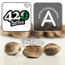 Z-up Auto