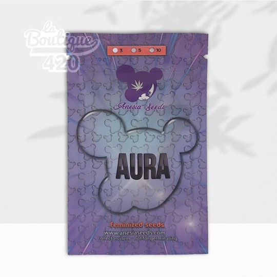 Packung feminisierter Aura-Samen von Anesia Seeds, 50/50-Hybrid mit 36% THC, Genetik Gorilla Piss x Power Nap