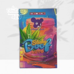 Packung mit Anesia Seeds Sticky Boof Auto Samen mit farbenfrohem Regenbogen-Design und Cannabisblatt