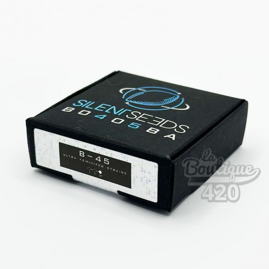 Boîte de graines Silent Seeds B-45 féminisées, variété cannabis de collection premium issue de la collaboration avec Booba